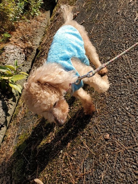 f:id:roukenhome-ann:20191227203438j:plain