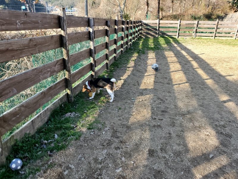 f:id:roukenhome-ann:20191227203510j:plain