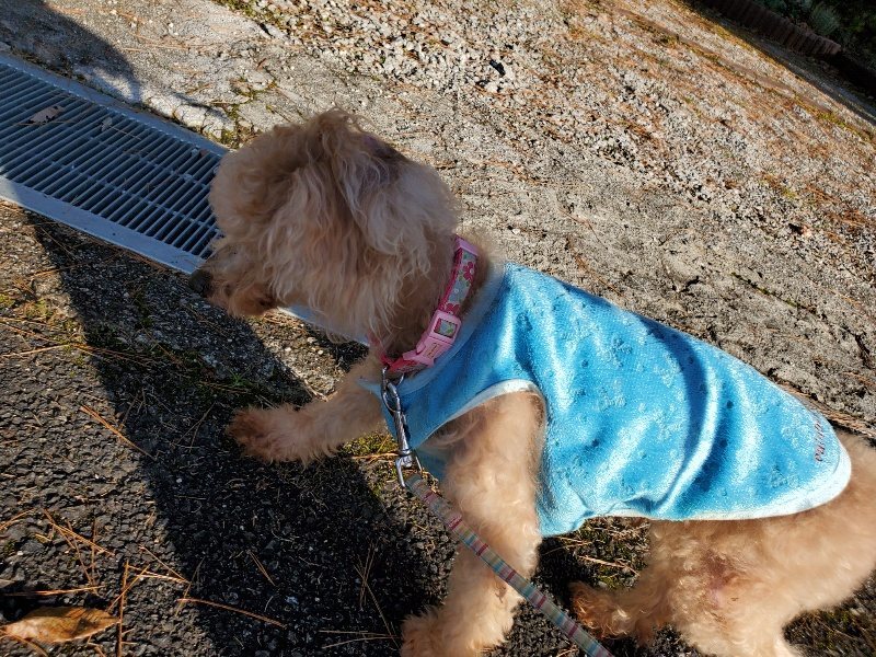 f:id:roukenhome-ann:20191227203537j:plain