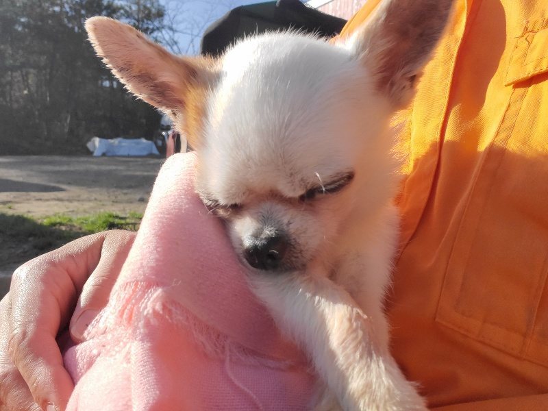 f:id:roukenhome-ann:20191227204130j:plain