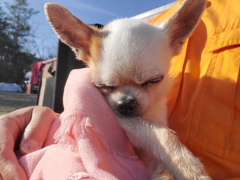 f:id:roukenhome-ann:20191227204138j:plain