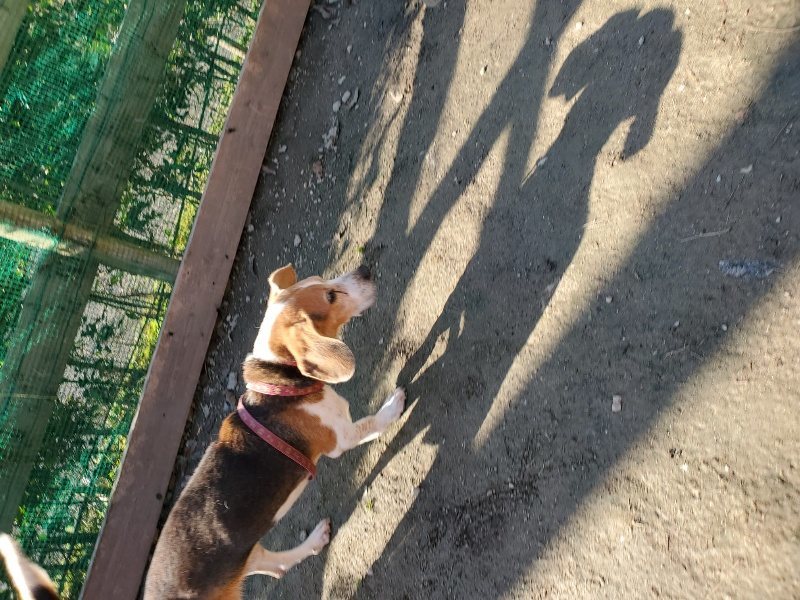f:id:roukenhome-ann:20191227205053j:plain