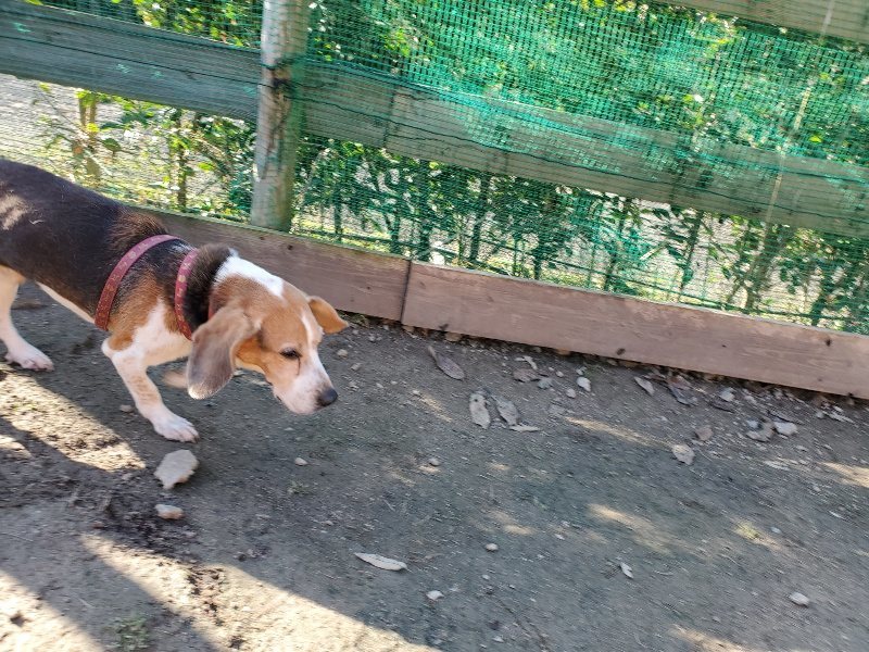 f:id:roukenhome-ann:20191227205115j:plain