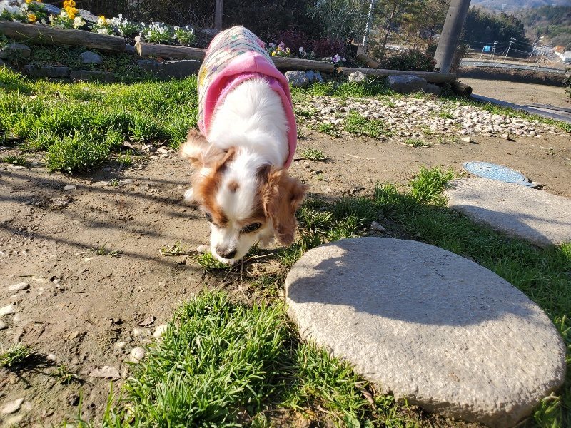 f:id:roukenhome-ann:20191227205212j:plain