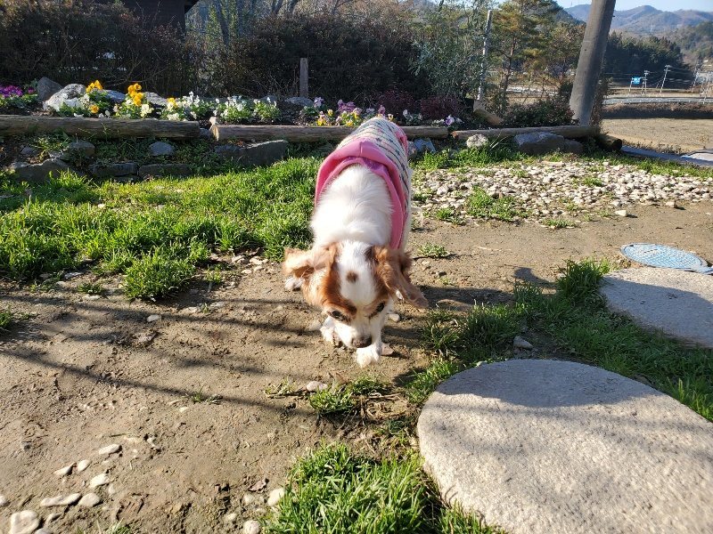 f:id:roukenhome-ann:20191227205231j:plain