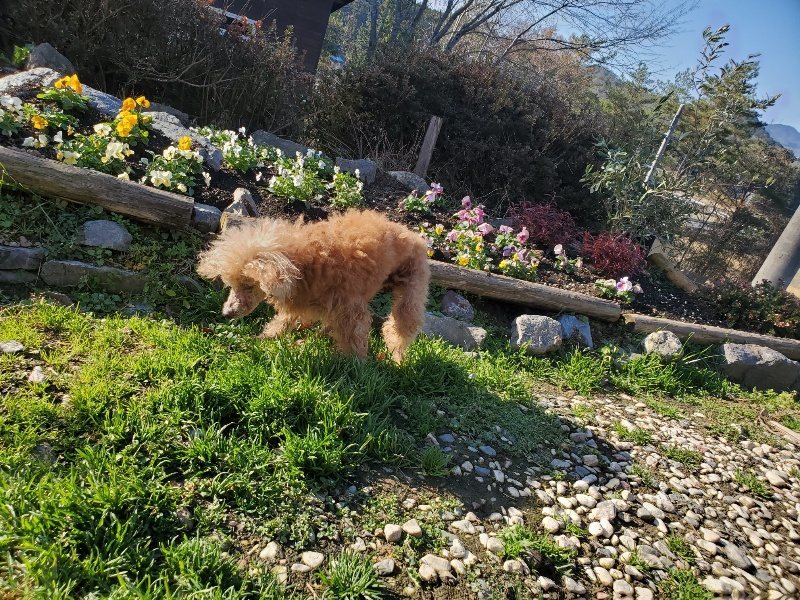 f:id:roukenhome-ann:20191227205249j:plain