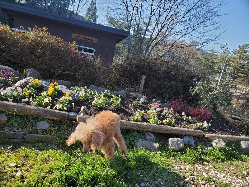 f:id:roukenhome-ann:20191227205315j:plain