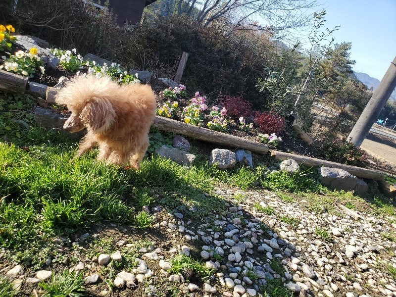 f:id:roukenhome-ann:20191227205333j:plain