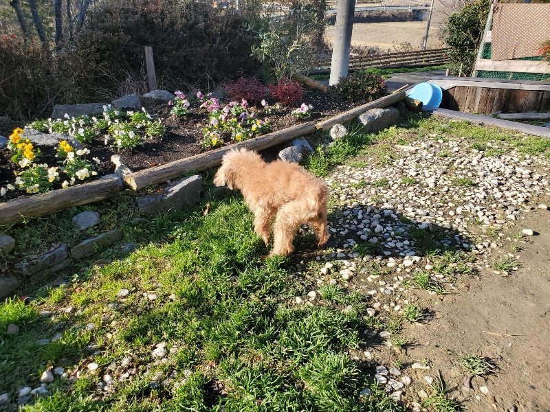 f:id:roukenhome-ann:20191227205445j:plain