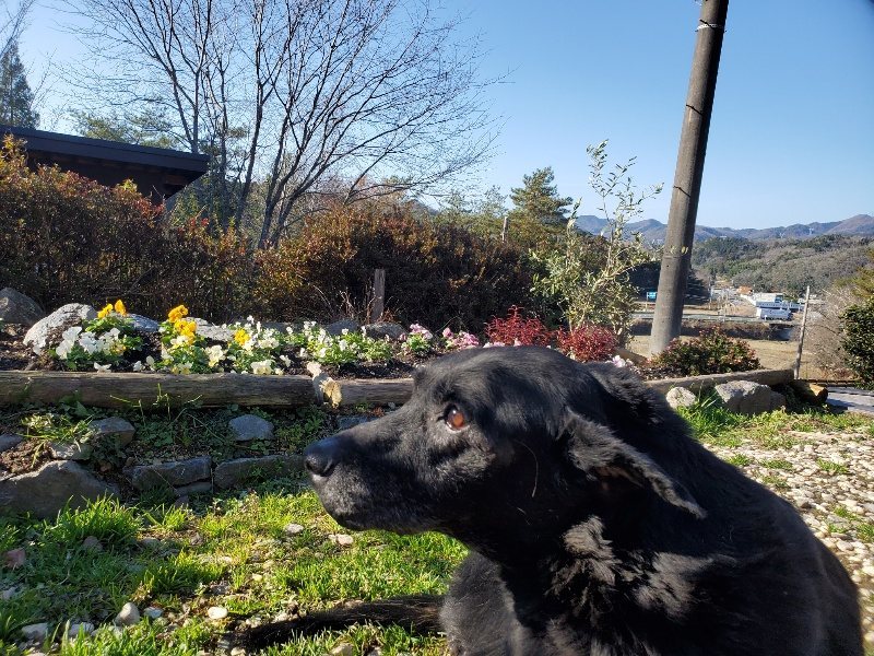 f:id:roukenhome-ann:20191227205614j:plain