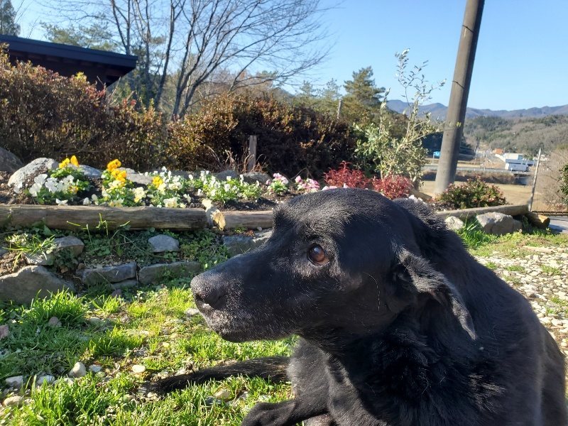 f:id:roukenhome-ann:20191227205632j:plain