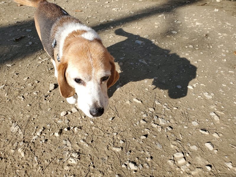 f:id:roukenhome-ann:20191227205719j:plain