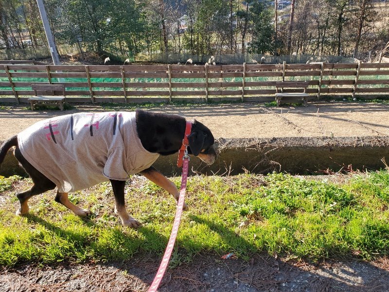 f:id:roukenhome-ann:20191227205859j:plain