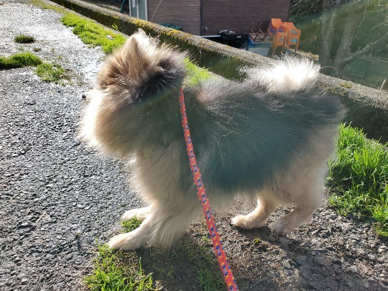 f:id:roukenhome-ann:20191228125114j:plain