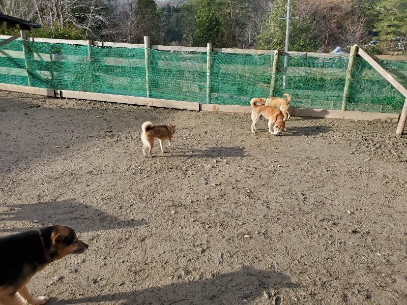 f:id:roukenhome-ann:20191228130327j:plain