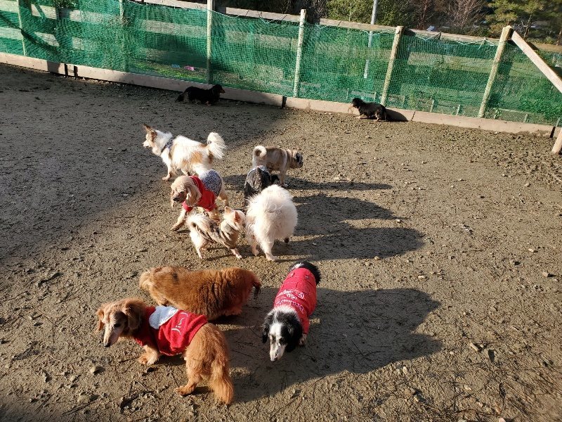 f:id:roukenhome-ann:20191228134358j:plain