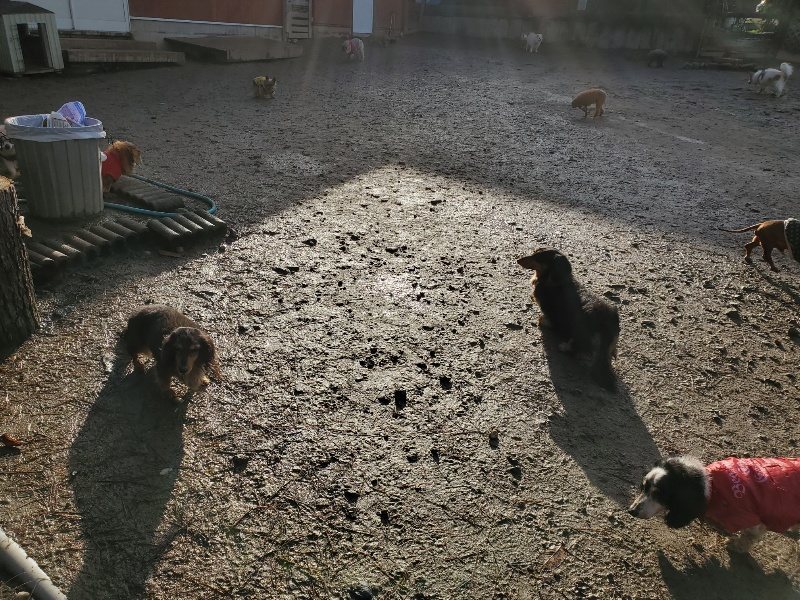 f:id:roukenhome-ann:20191228135603j:plain