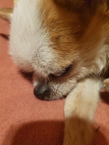 f:id:roukenhome-ann:20191231052042j:plain
