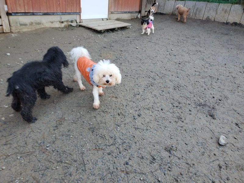 f:id:roukenhome-ann:20200103064501j:plain f:id:roukenhome-ann:20200103064501j:plain