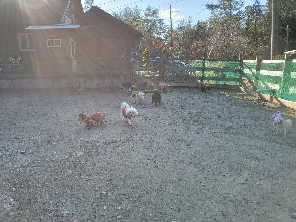 f:id:roukenhome-ann:20200103065230j:plain f:id:roukenhome-ann:20200103065230j:plain