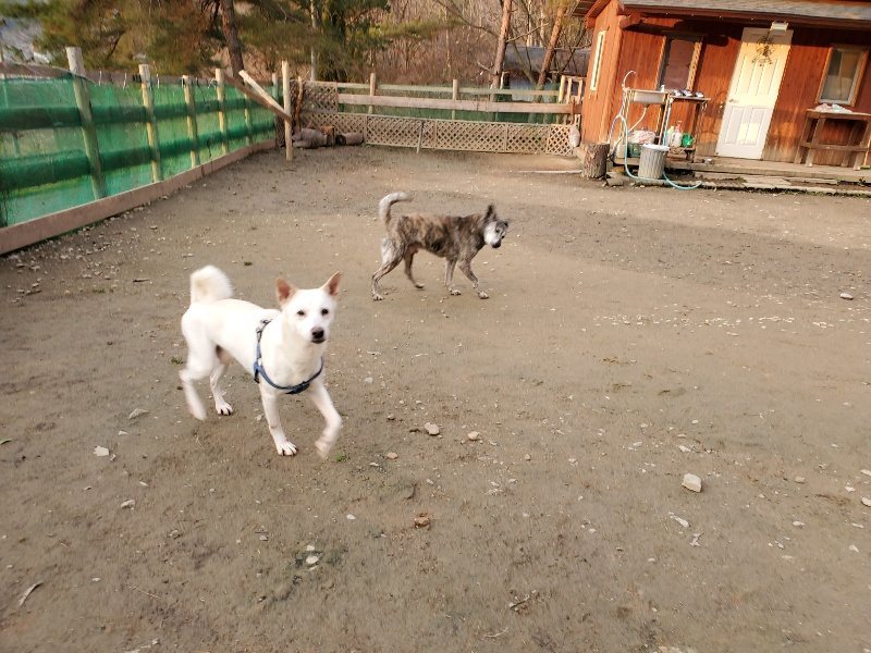 f:id:roukenhome-ann:20200103215734j:plain