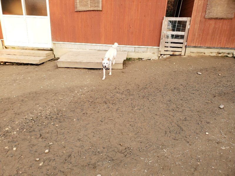 f:id:roukenhome-ann:20200103215954j:plain