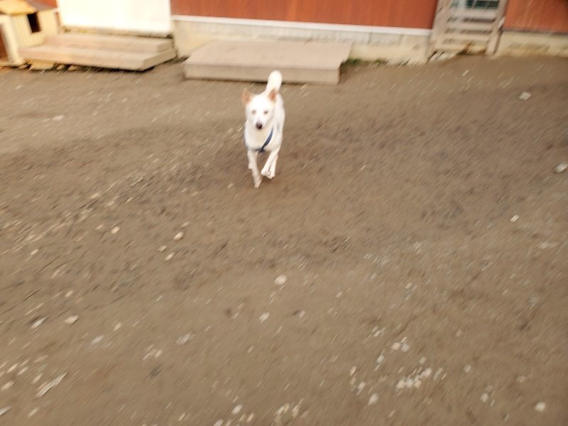 f:id:roukenhome-ann:20200103220007j:plain