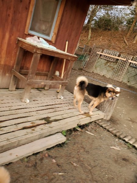 f:id:roukenhome-ann:20200103220055j:plain