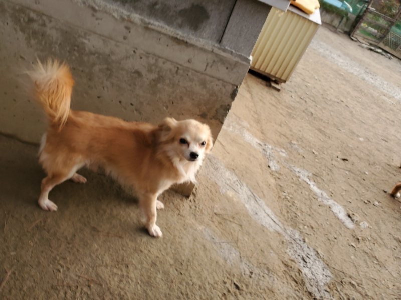 f:id:roukenhome-ann:20200103222200j:plain
