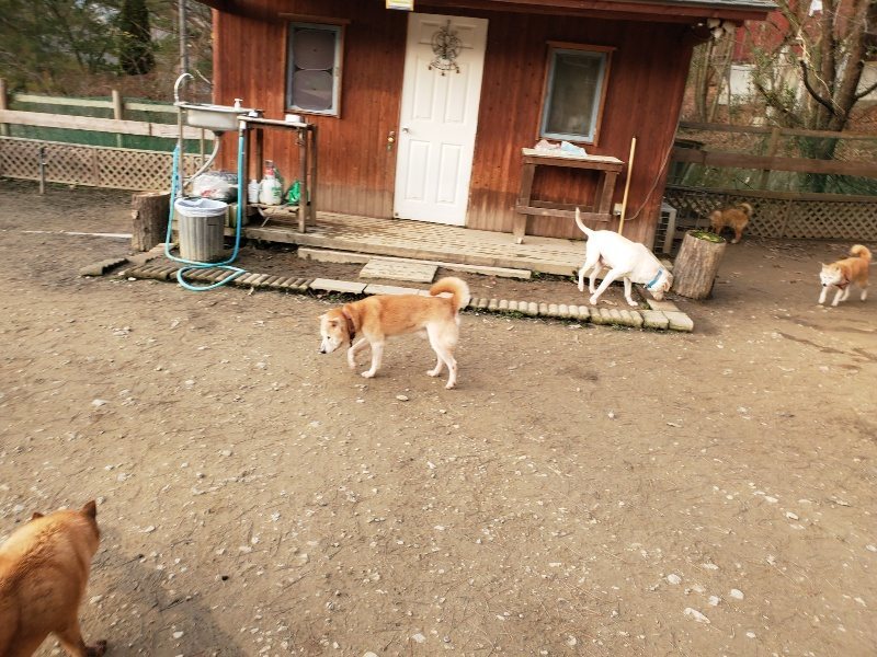 f:id:roukenhome-ann:20200103222738j:plain
