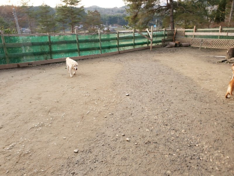 f:id:roukenhome-ann:20200103222834j:plain