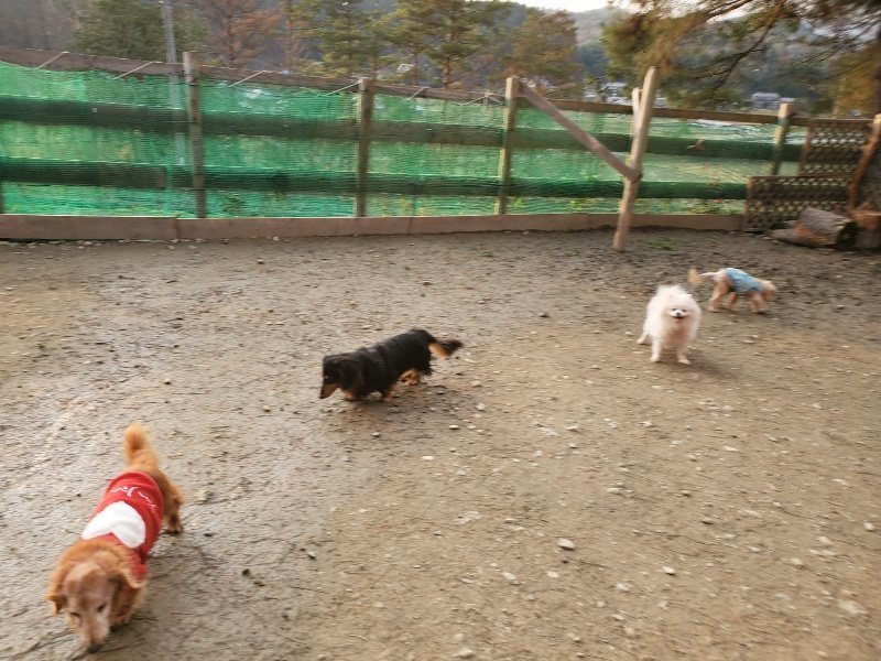 f:id:roukenhome-ann:20200104051119j:plain