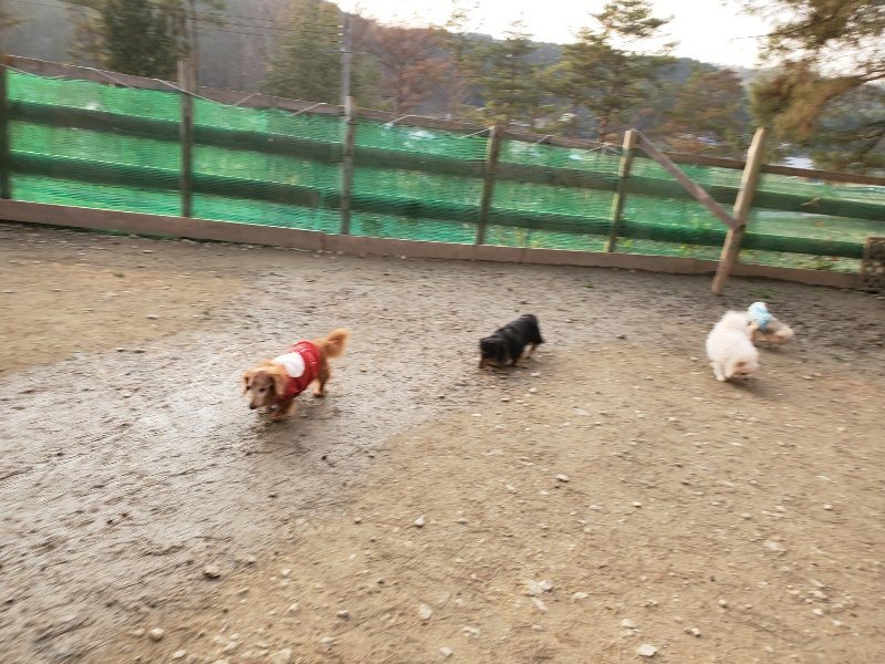 f:id:roukenhome-ann:20200104051125j:plain