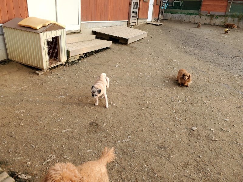 f:id:roukenhome-ann:20200104051255j:plain