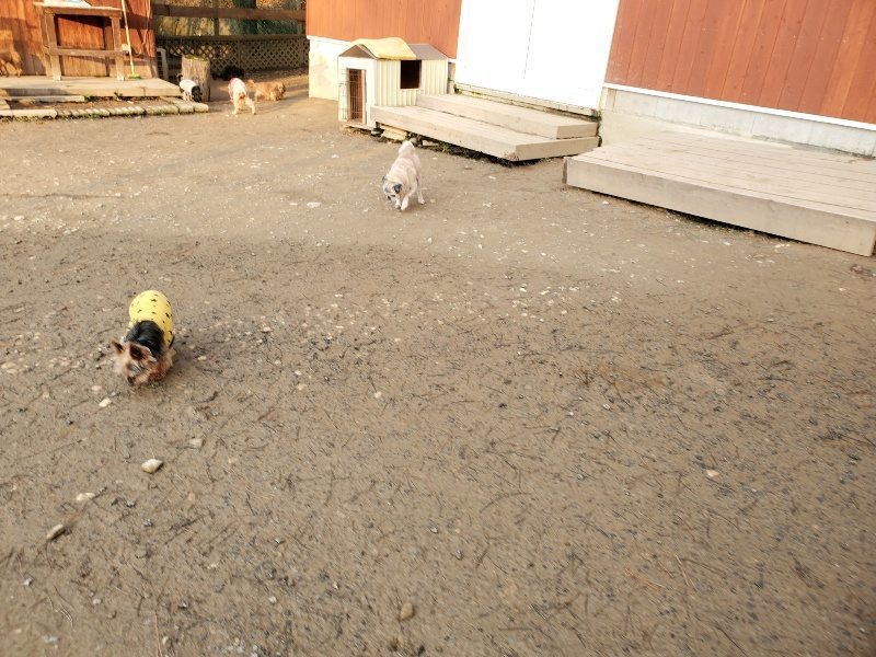 f:id:roukenhome-ann:20200104053048j:plain f:id:roukenhome-ann:20200104053048j:plain