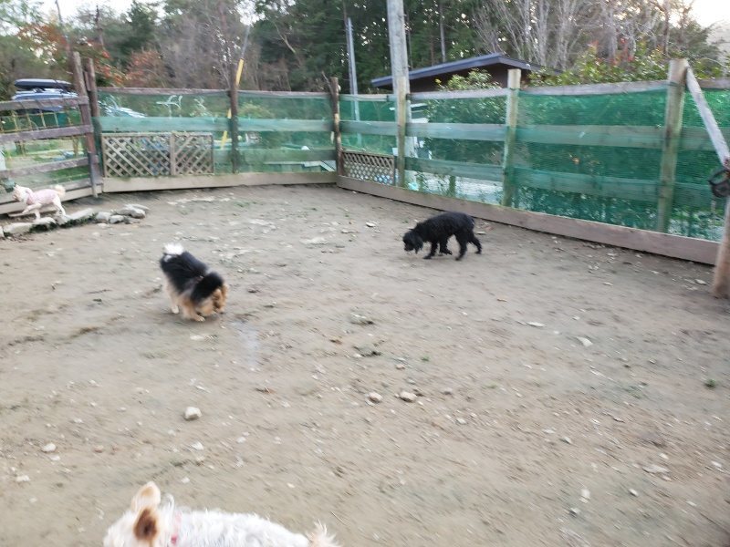 f:id:roukenhome-ann:20200104053428j:plain f:id:roukenhome-ann:20200104053428j:plain