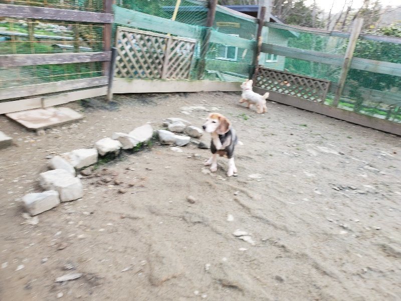 f:id:roukenhome-ann:20200104071707j:plain f:id:roukenhome-ann:20200104071707j:plain