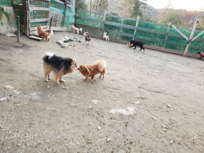 f:id:roukenhome-ann:20200104072047j:plain f:id:roukenhome-ann:20200104072047j:plain