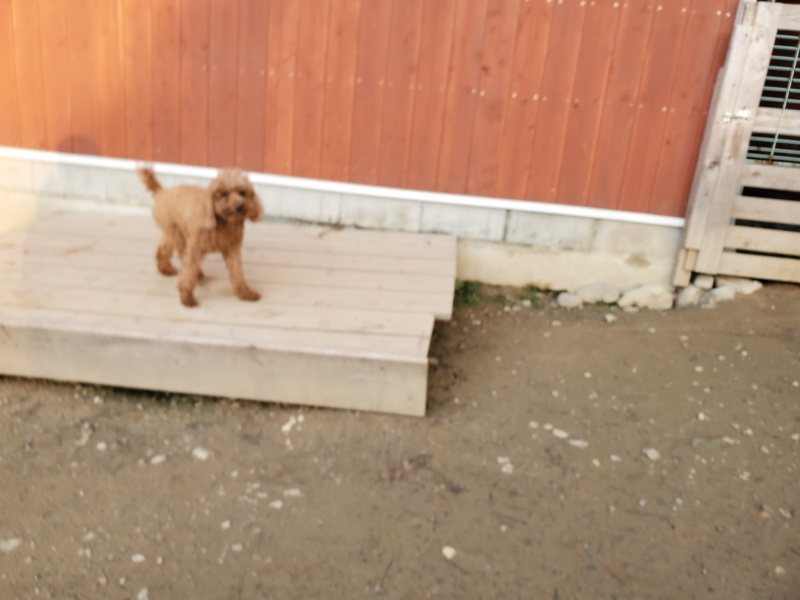 f:id:roukenhome-ann:20200104072142j:plain f:id:roukenhome-ann:20200104072142j:plain