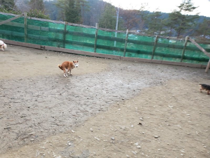 f:id:roukenhome-ann:20200104072603j:plain f:id:roukenhome-ann:20200104072603j:plain