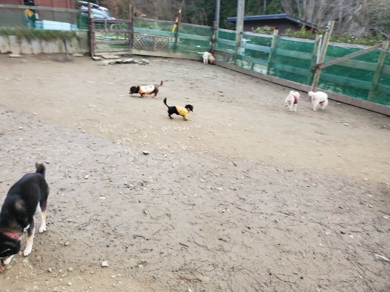 f:id:roukenhome-ann:20200104072610j:plain f:id:roukenhome-ann:20200104072610j:plain