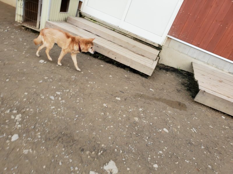f:id:roukenhome-ann:20200104072623j:plain f:id:roukenhome-ann:20200104072623j:plain