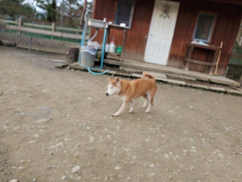 f:id:roukenhome-ann:20200104072724j:plain f:id:roukenhome-ann:20200104072724j:plain