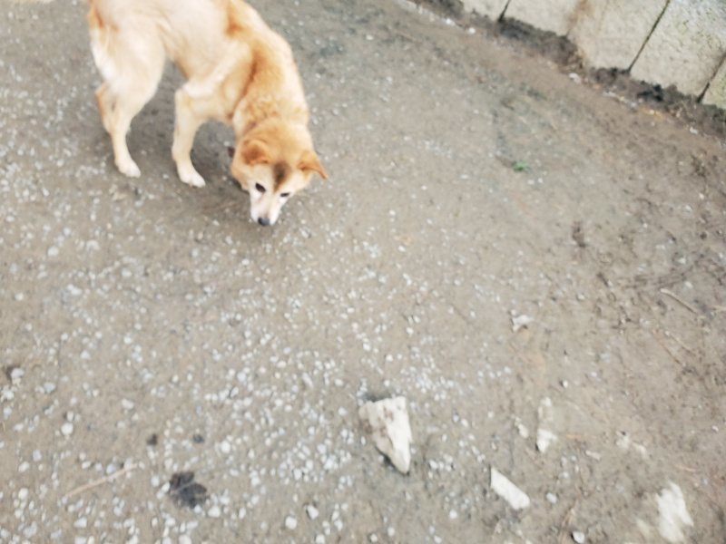 f:id:roukenhome-ann:20200104073204j:plain f:id:roukenhome-ann:20200104073204j:plain