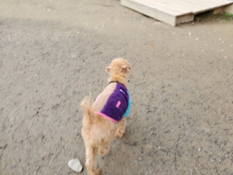 f:id:roukenhome-ann:20200104073226j:plain f:id:roukenhome-ann:20200104073226j:plain