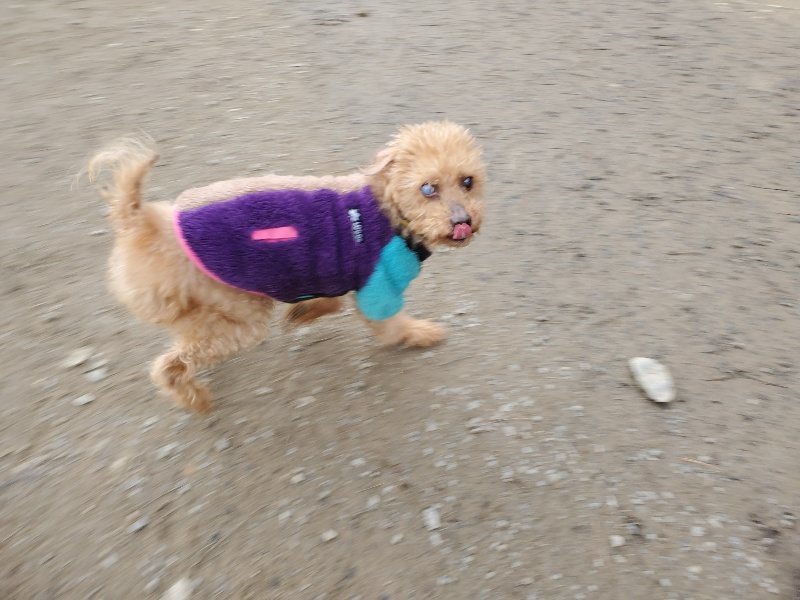 f:id:roukenhome-ann:20200104073236j:plain f:id:roukenhome-ann:20200104073236j:plain