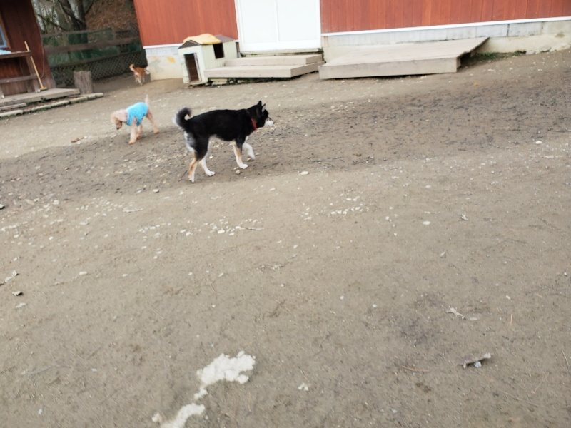 f:id:roukenhome-ann:20200104073336j:plain f:id:roukenhome-ann:20200104073336j:plain