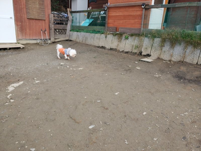f:id:roukenhome-ann:20200104073439j:plain f:id:roukenhome-ann:20200104073439j:plain