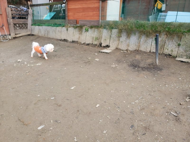 f:id:roukenhome-ann:20200104073446j:plain f:id:roukenhome-ann:20200104073446j:plain