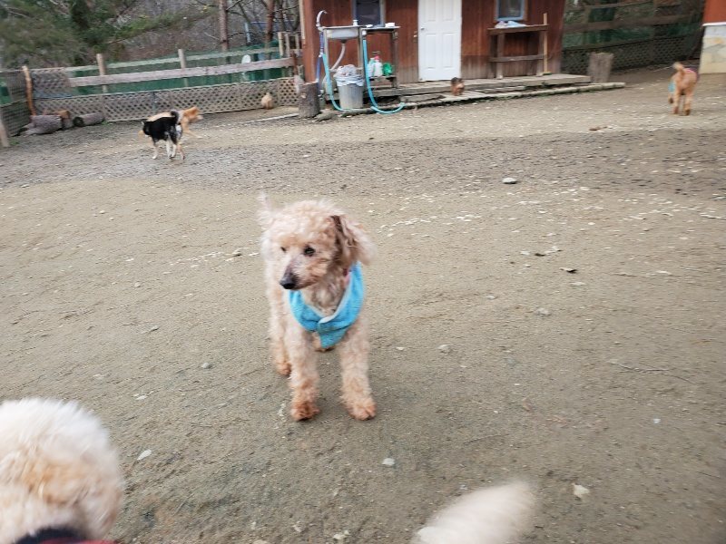 f:id:roukenhome-ann:20200104073518j:plain f:id:roukenhome-ann:20200104073518j:plain